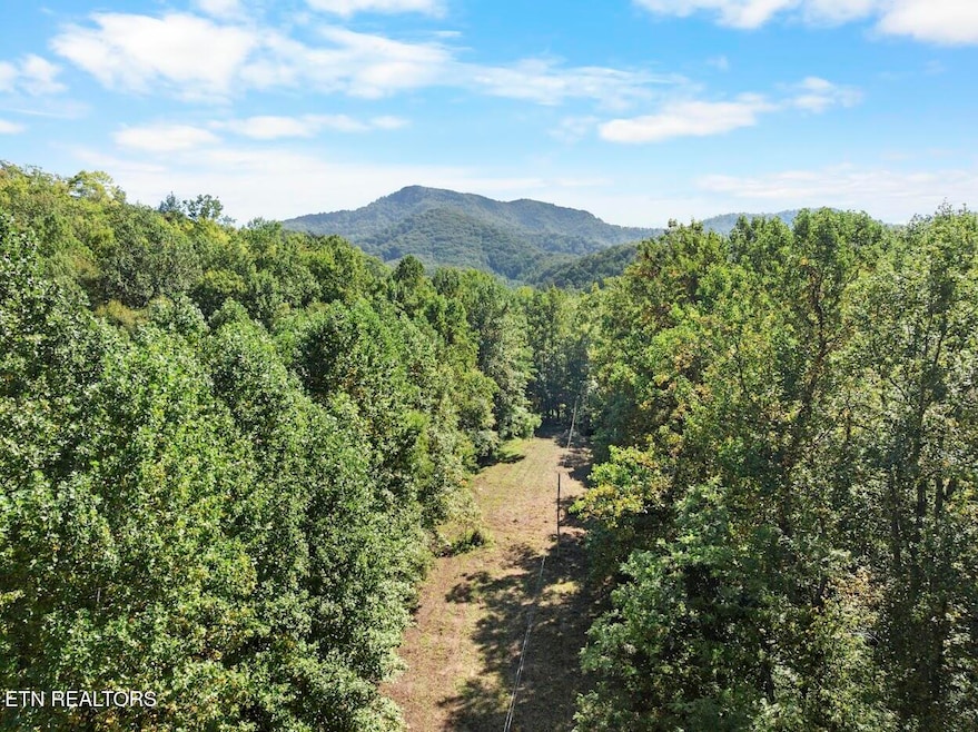 PAR 033.01 S Highway 32, Cosby, TN 37722 - photo 1