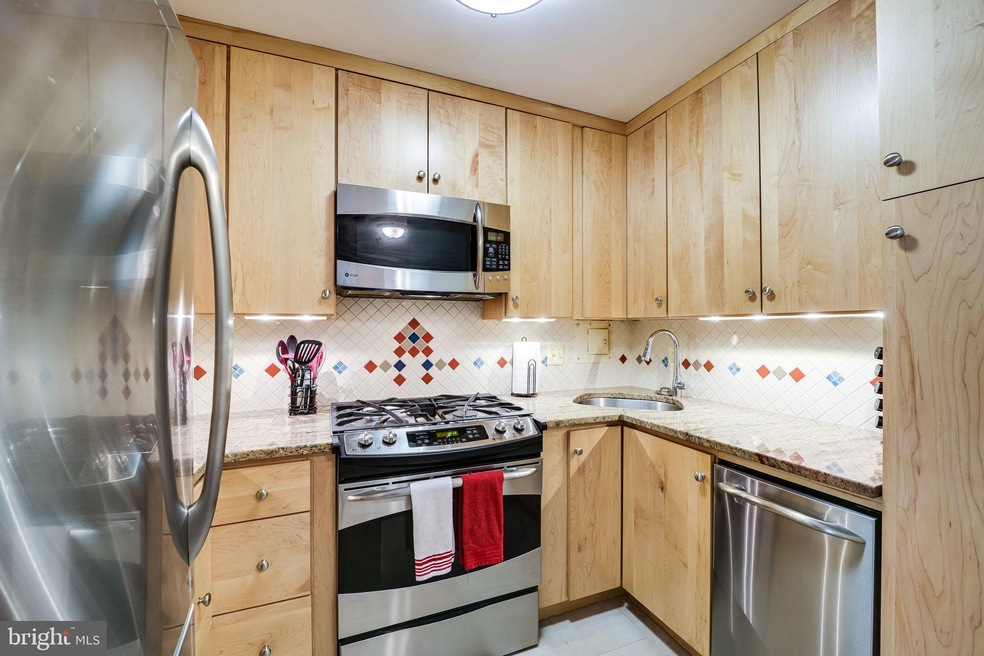 Bon Wit Plaza unit 305, Washington, DC 20037 - photo 1