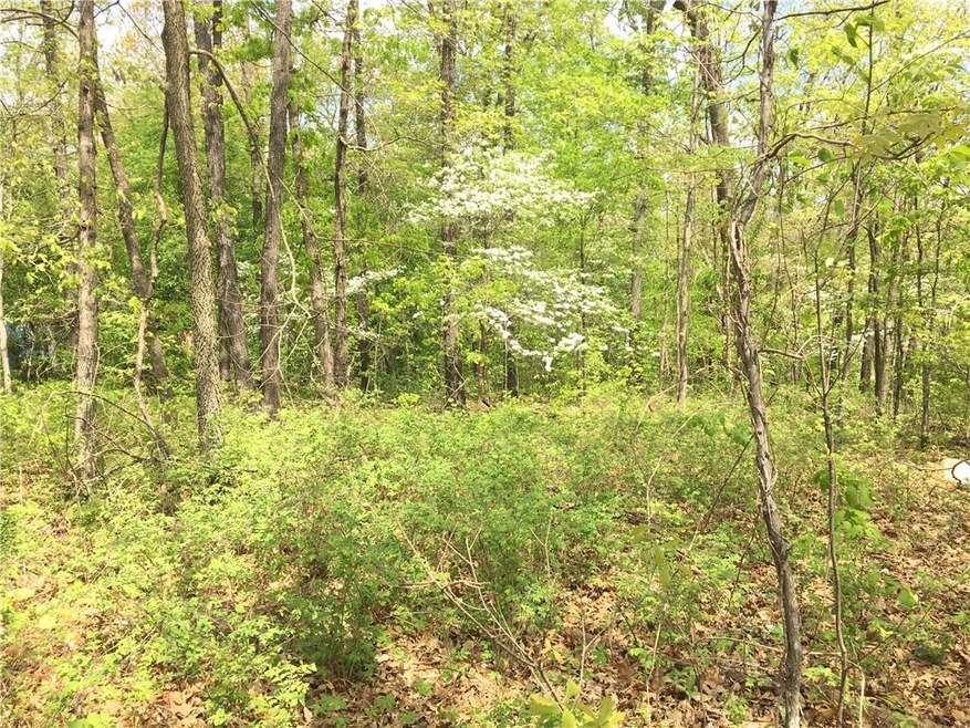 Lot 11 Ford Ln, Bella Vista, AR 72714 - photo 1