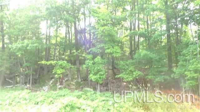 TBD Second Sand Rd, L'Anse, MI 48846 - photo 1