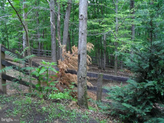 24 Tamarack Cove, Rixeyville, VA 22737 - photo 1