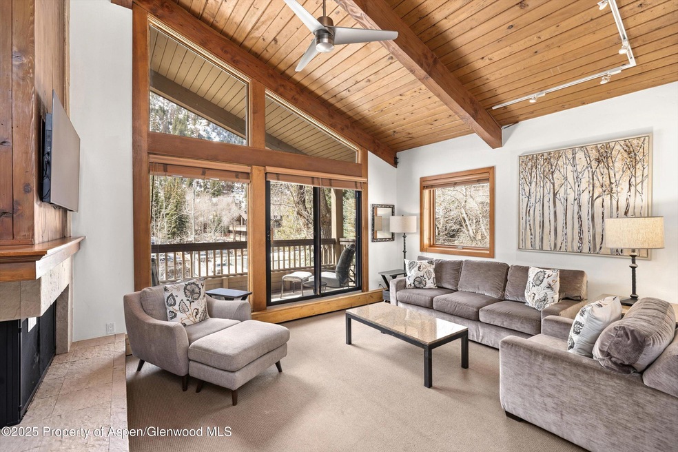 610 S West End St unit D-303, Aspen, CO 81611 - photo 1