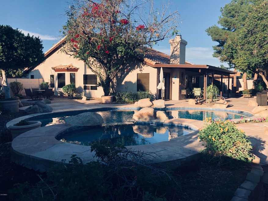Resort Like Back Yard