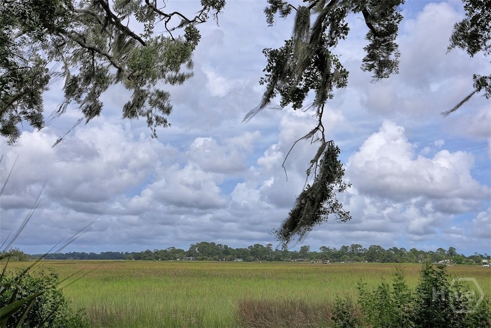 View from sitting deck. Marsh to Wilmington River