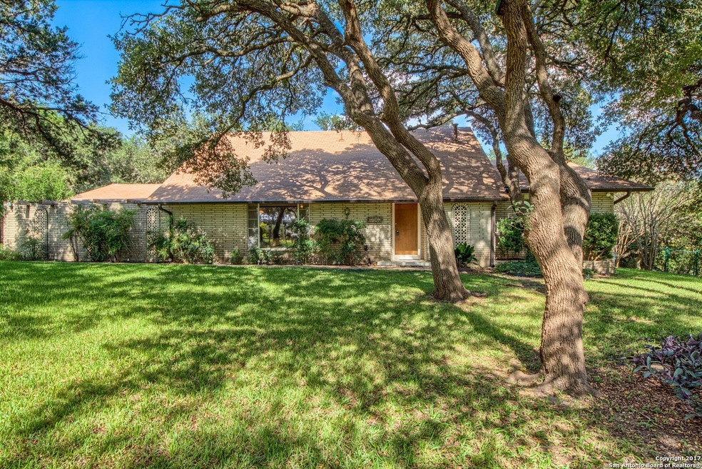 10563 Rocking M Trail, Helotes, TX 78023 - photo 1