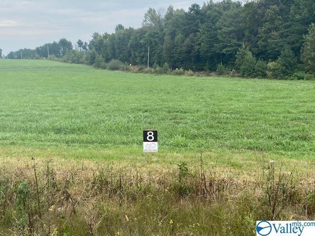 Tract 8 Flanagan Rd, Athens, AL 35614 - photo 1