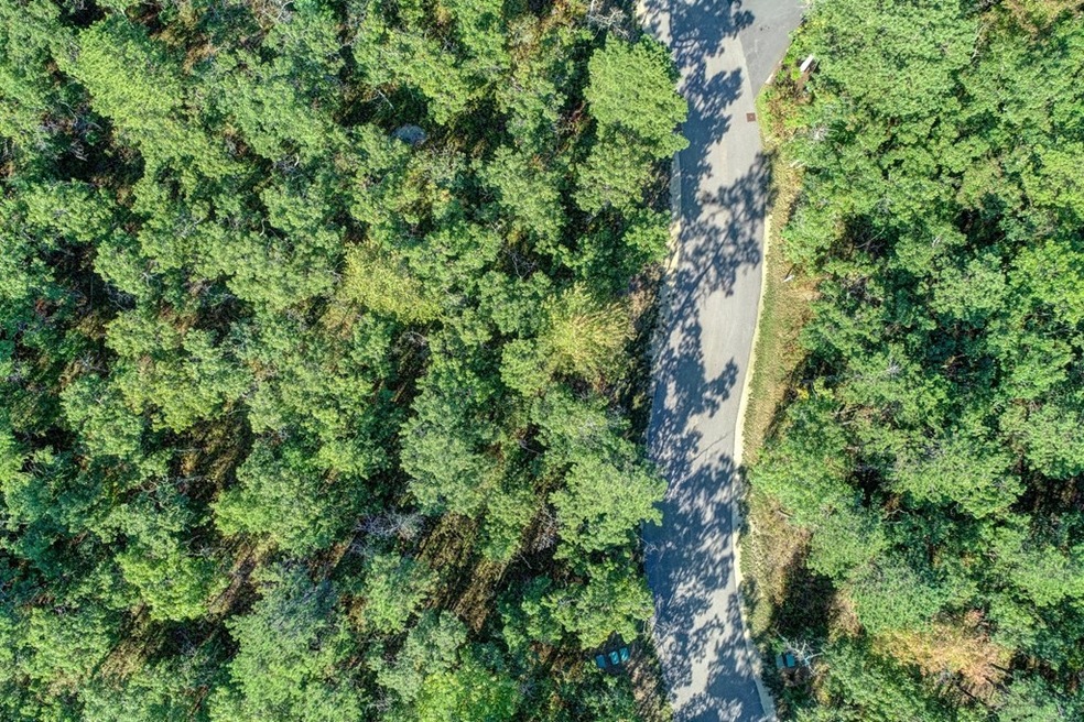 16 Dawn's Light, Plymouth, MA 02360 - photo 1