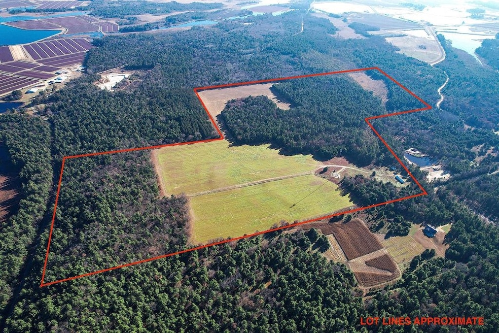 1504 Atom Rd, Lincoln, WI 54666 - photo 1