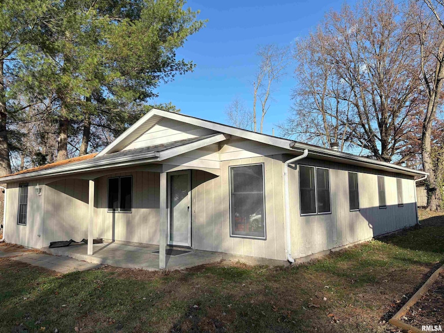 1010 Steven Ln, Murphysboro, IL 62966 - photo 1