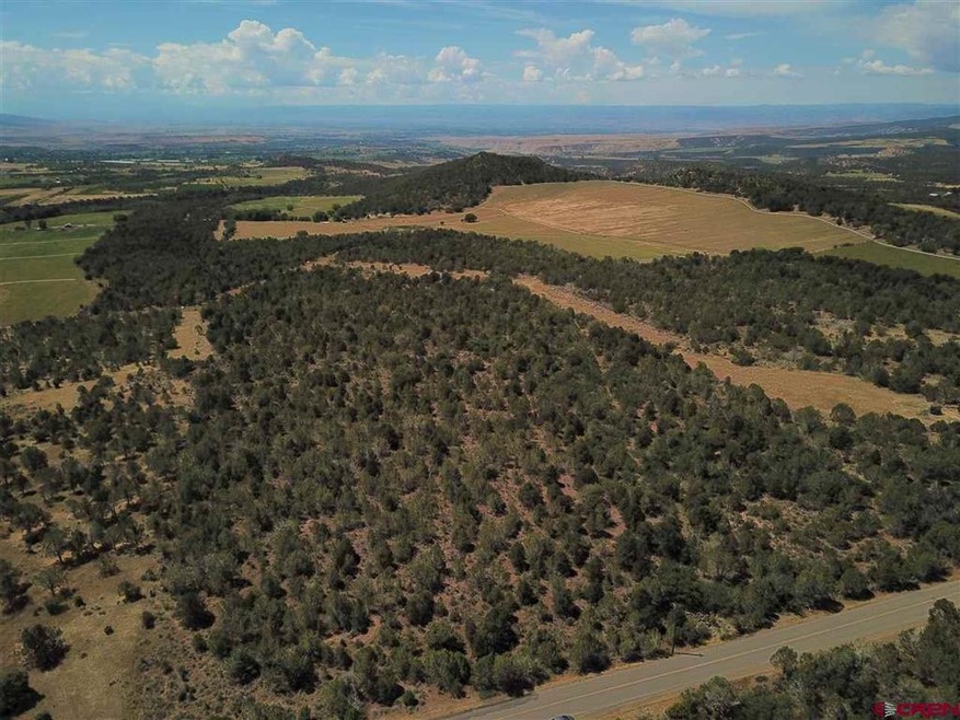 0 Uintah Rd unit 700701, Cedaredge, CO 81413 - photo 1