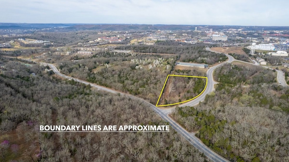 0 Frank Rea Blvd unit Lot F3 23190306, Branson, MO 65616 - photo 1