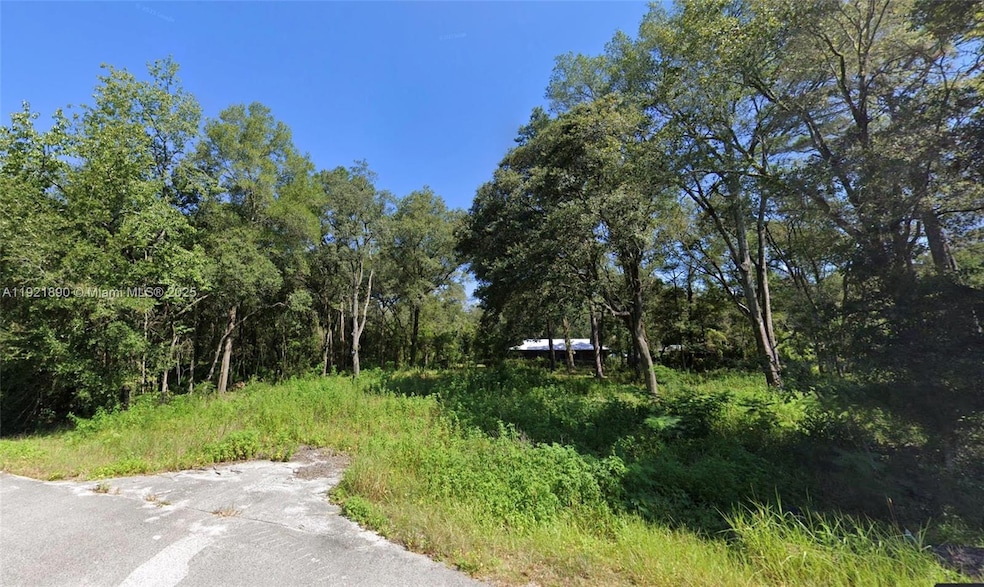 13th St Nw, Ocala, FL 34482 - photo 1