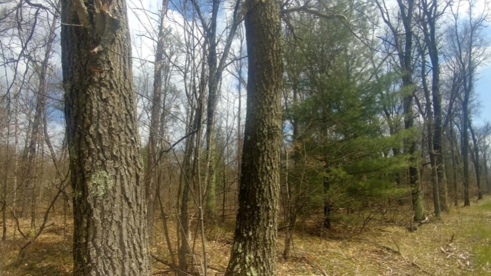 0515201225_HDR