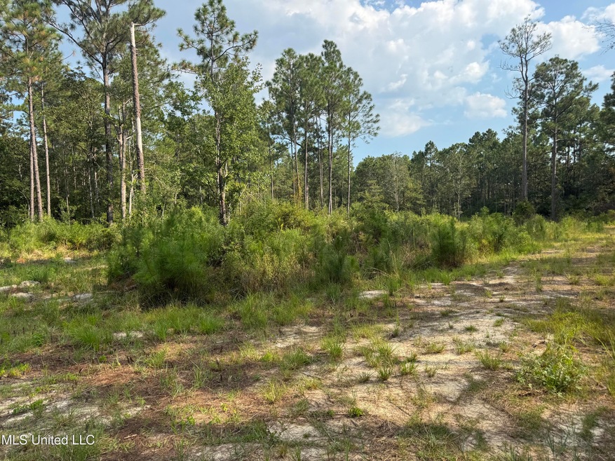 7368 Longridge Rd, Long Beach, MS 39560 - photo 1