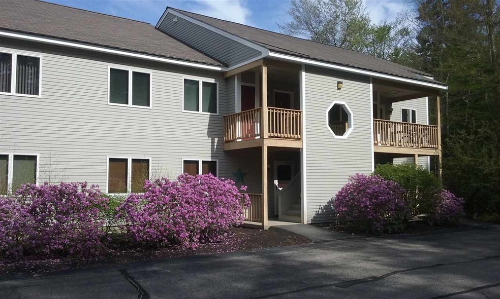 16 Purple Finch Rd unit 67, Conway, NH 03818 - photo 1