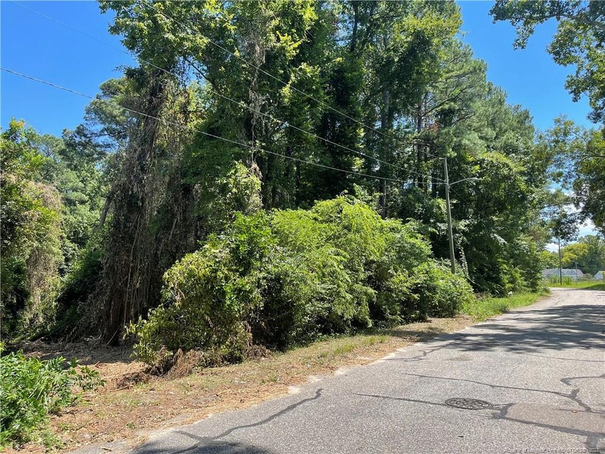 0 Fay Hart Rd, Fayetteville, NC 28306 - photo 1