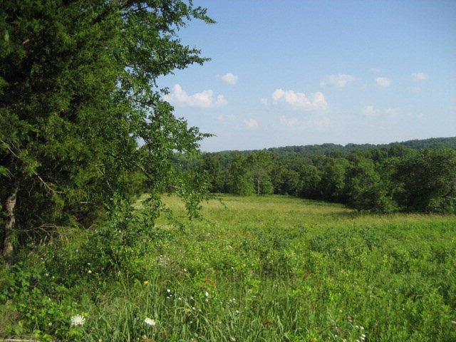 Schreiner 10