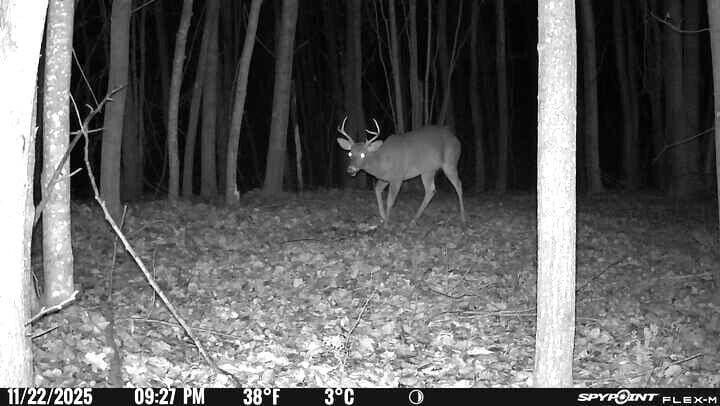 4100 Long Lake Rd, Cheboygan, MI 49721 - photo 1