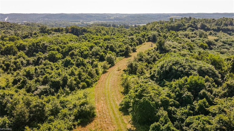 0 Tr 433 unit 4216675, Coshocton, OH 43812 - photo 1