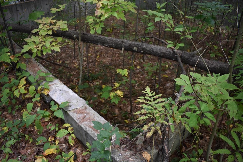 5 Rabbit Path, Hillsborough, NH 03244 - photo 1