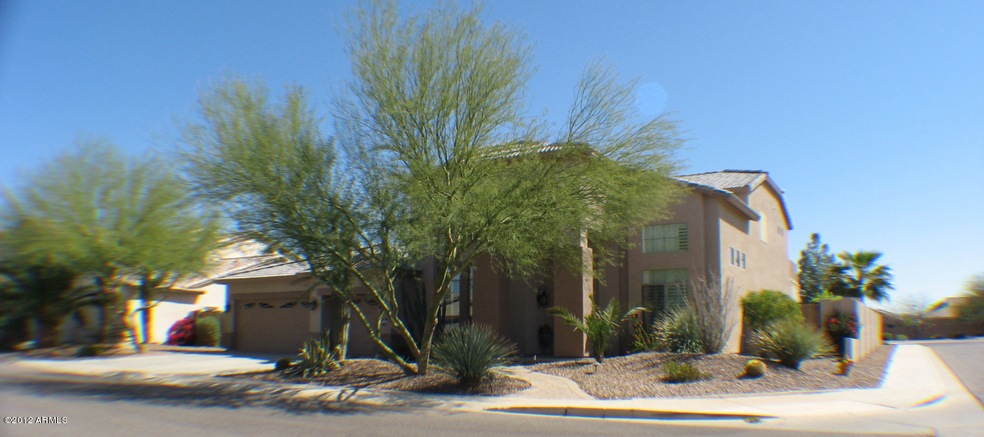 Front View