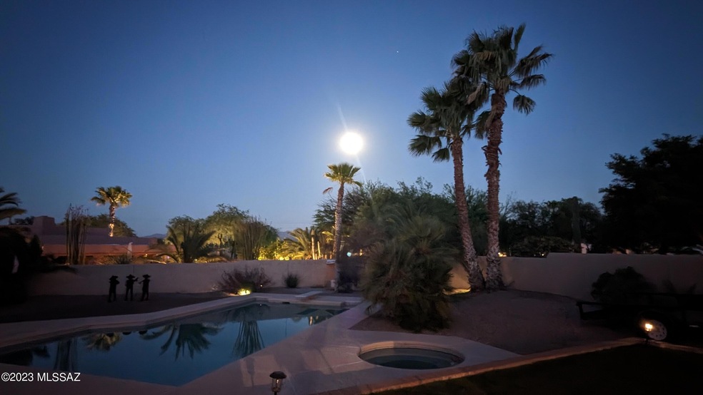 PXL_20230505_024351552.NIGHT