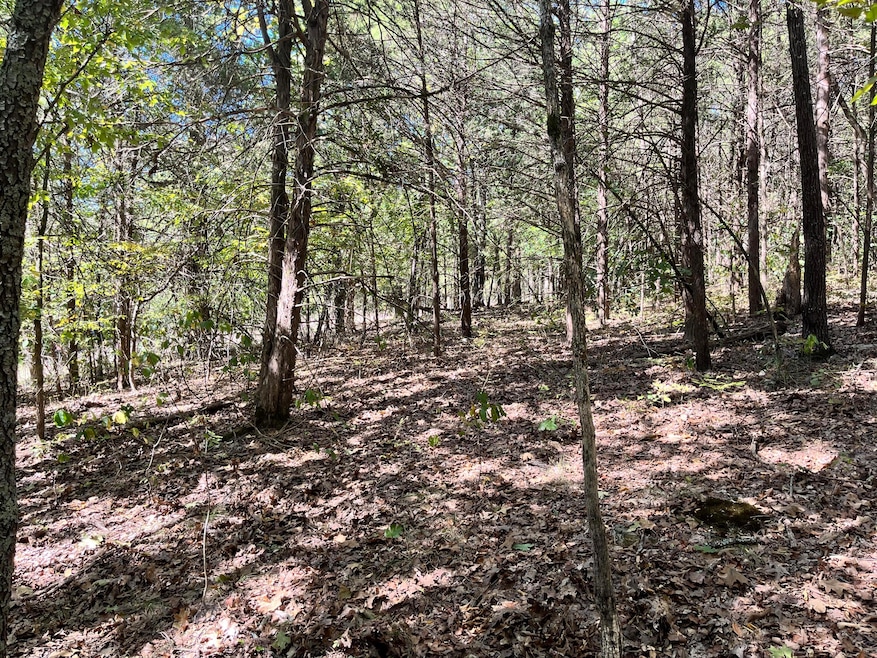 Easily cleared for your dream home