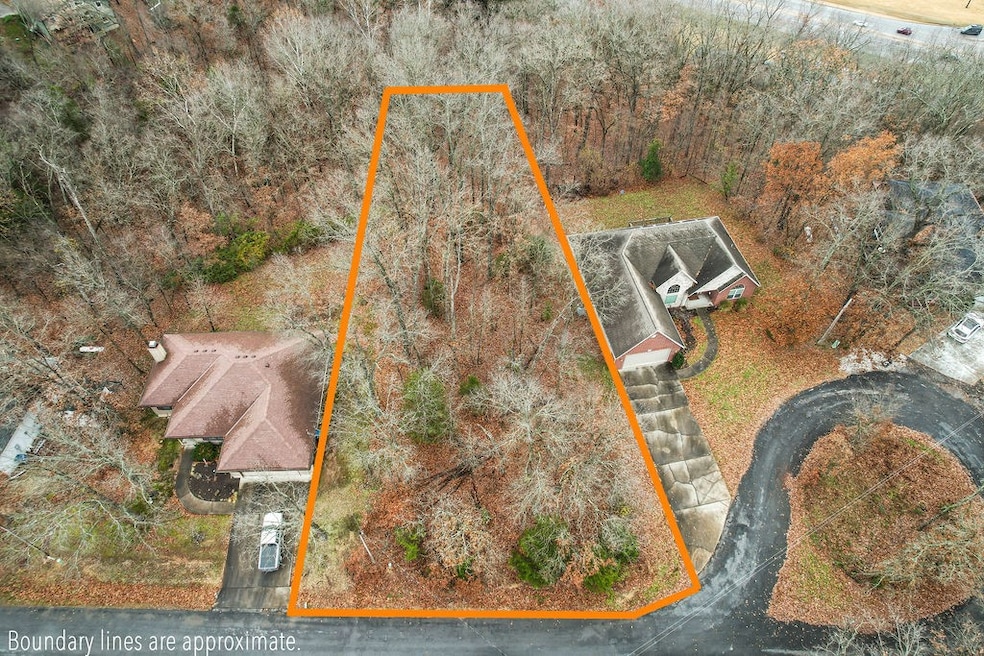 Lot 49 Hornby Ln, Bella Vista, AR 72714 - photo 1