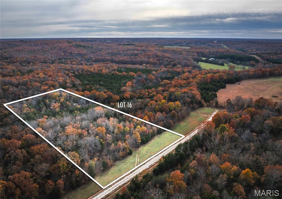 View of property location featuring a heavily wooded area and property parcel outlined