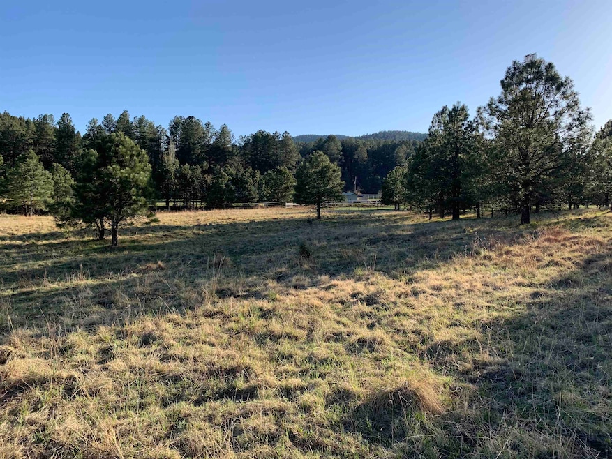 Lot 4 James Canyon Hwy unit 4, Cloudcroft, NM 88317 - photo 1