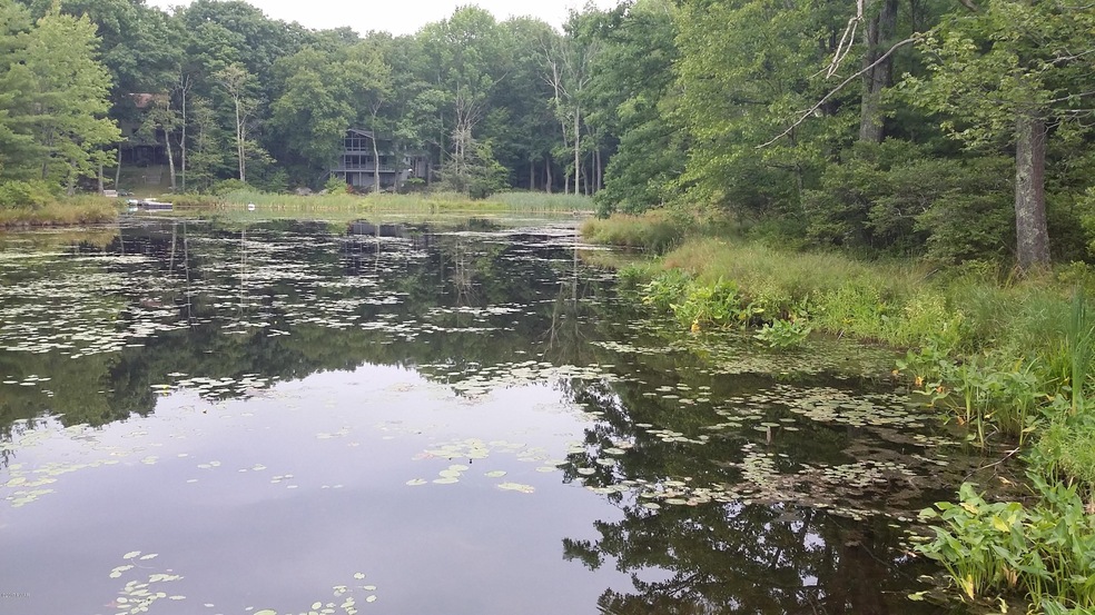 118 Broadmoor Dr, Blooming Grove Township, PA 18428 - photo 1