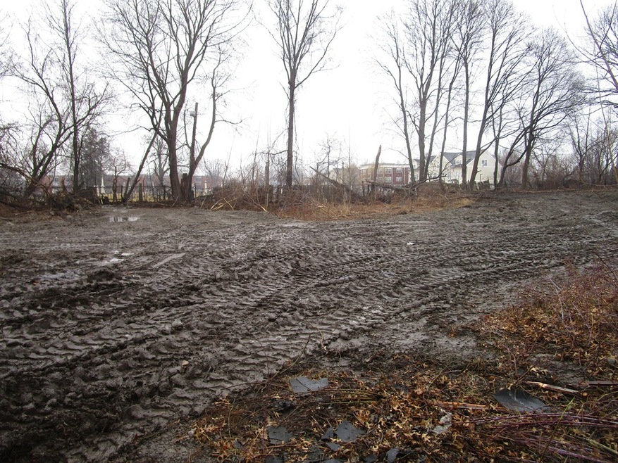 7 Callender St, Dorchester Center, MA 02124 - photo 1