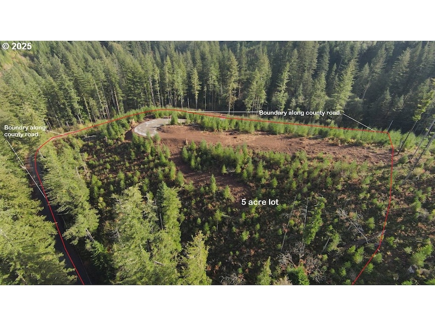1051 Skamania Mines Rd, Washougal, WA 98671 - photo 1