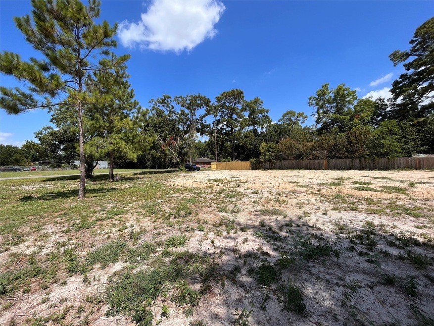 2803 Lauder Rd, Houston, TX 77039 - photo 1