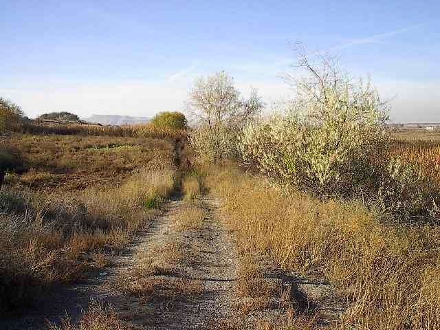 0 River Rd unit 98543411, Homedale, ID 83628 - photo 1
