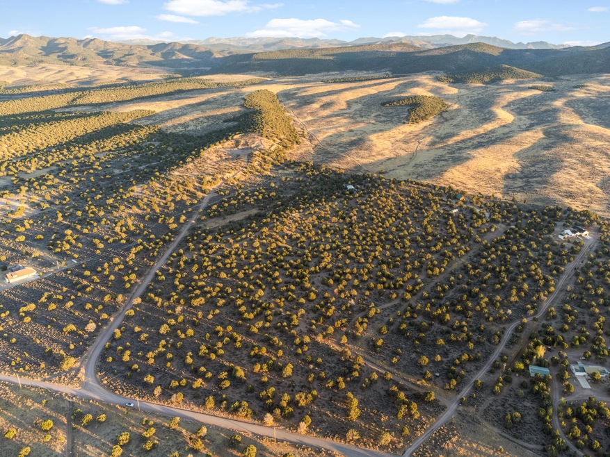 DJI_0982