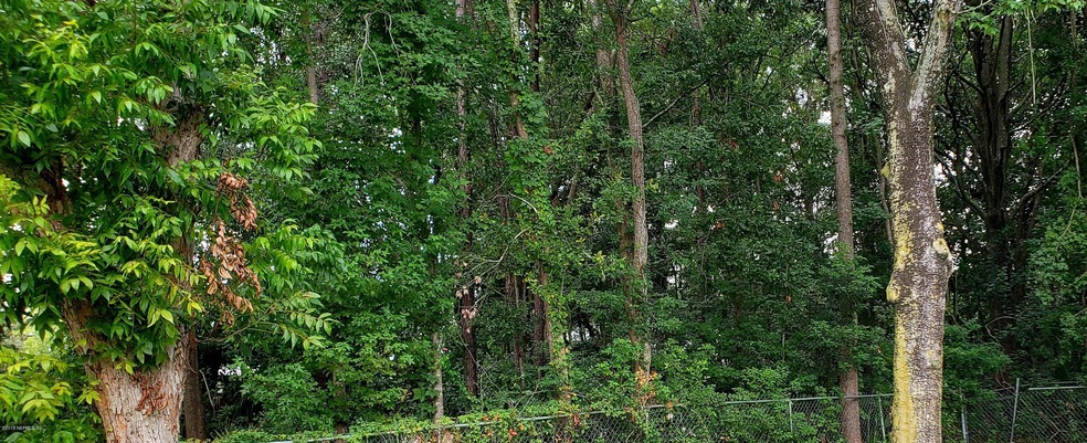 Barnes - vacant land