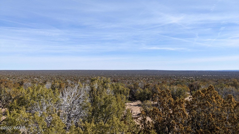 looking south