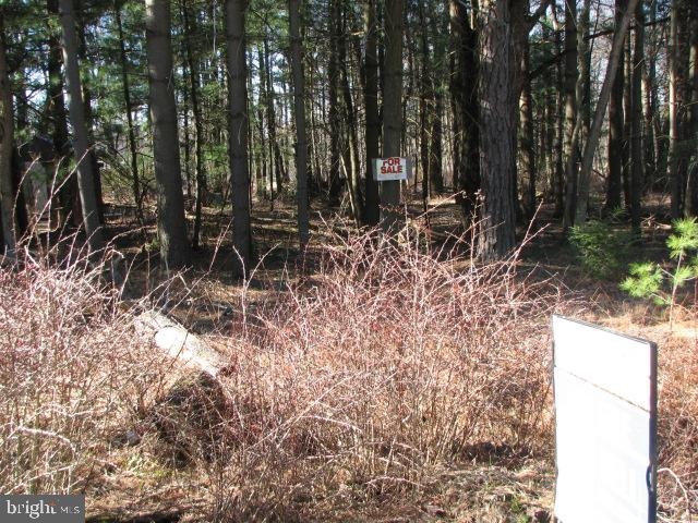 0 Three Turn Rd unit PACB122226, Shippensburg, PA 17257 - photo 1