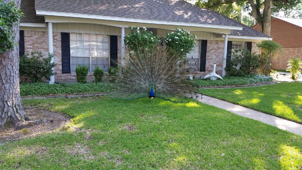 7203 Bayou Forest Dr, Houston, TX 77088 - photo 1