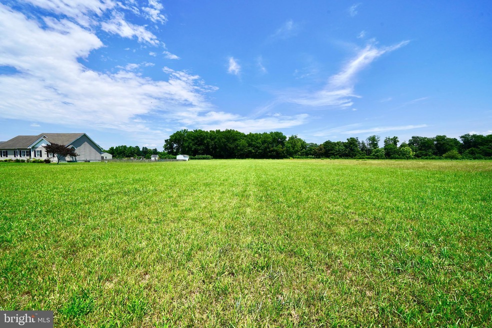 20229 W Piney Grove Rd, Georgetown, DE 19947 - photo 1