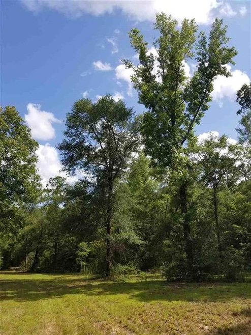 650 Whiddon Lake Rd, Crawfordville, FL 32327 - photo 1