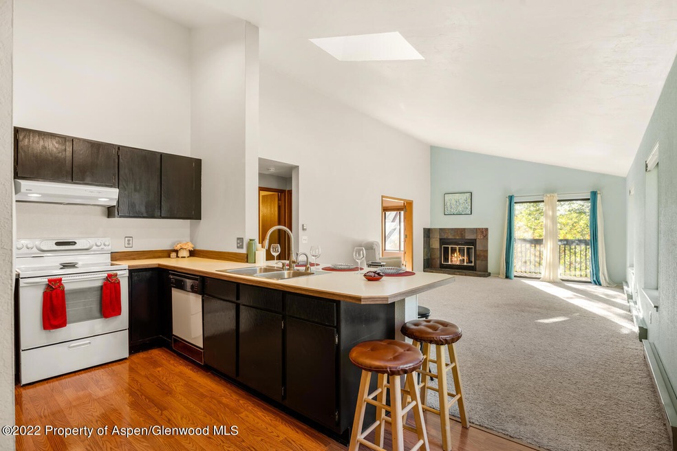 2820 Hager Ln F1 Glenwood-large-003-017-