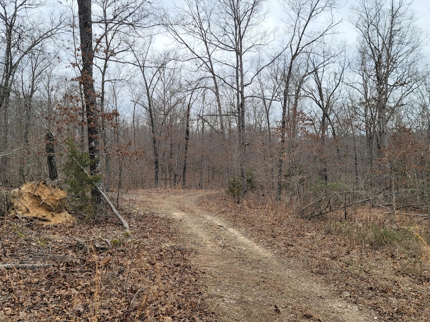 000 Ledgewood Rd, Cabool, MO 65689 - photo 1