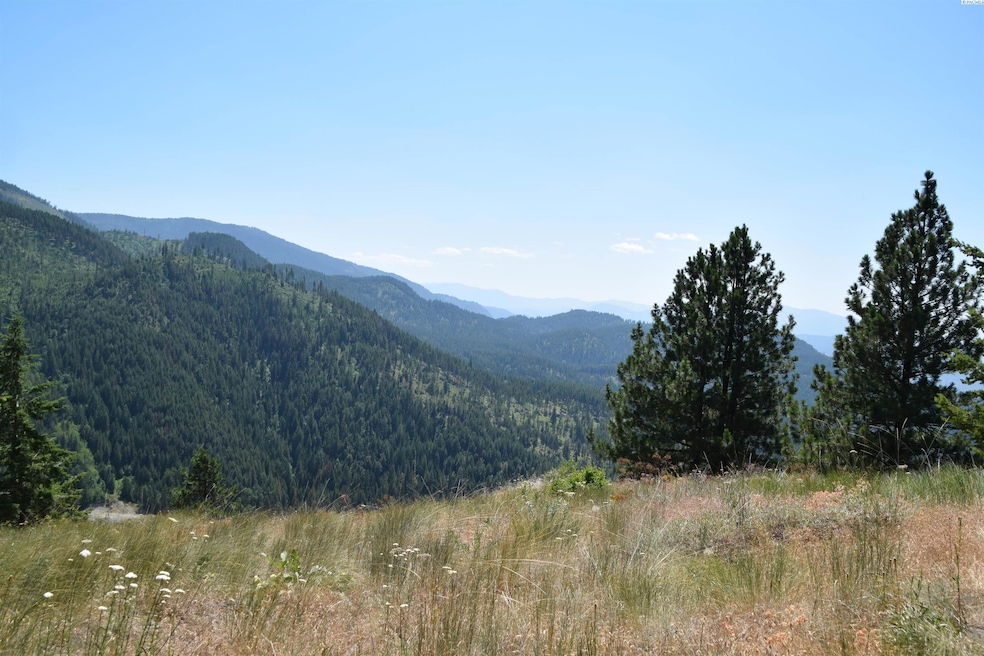For Sale $49,900 • Co-Listing Agent