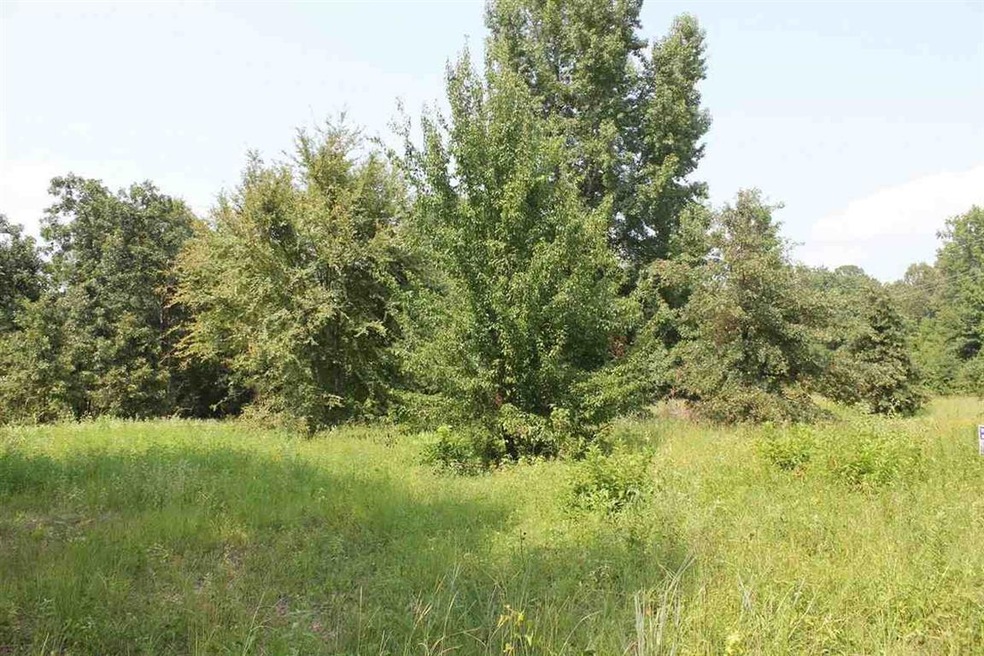 TBD Ashly, Texarkana, TX 75503 - photo 1