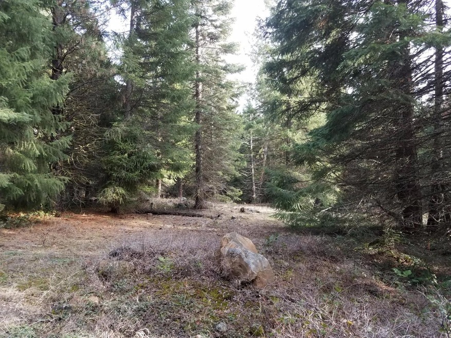 Primary Photo