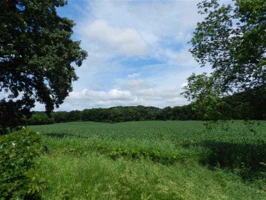 56 Acres County Road A, Brooklyn, WI 53521 - photo 1