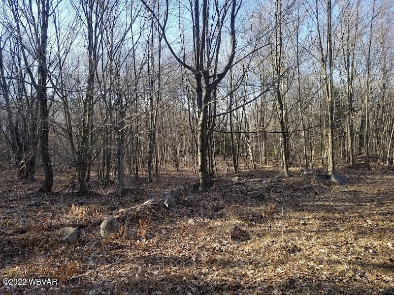 Land