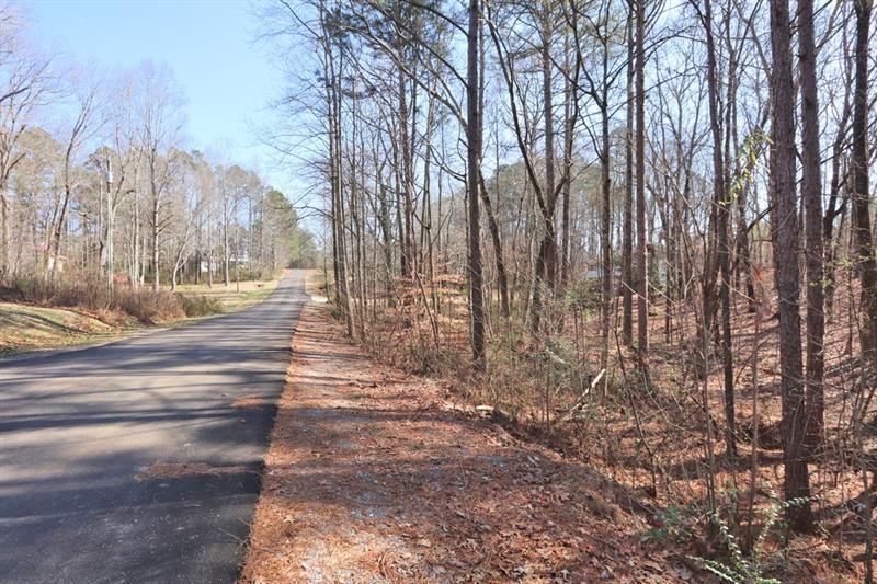 0 Cardinal Ln unit 6670872, Bremen, GA 30110 - photo 1